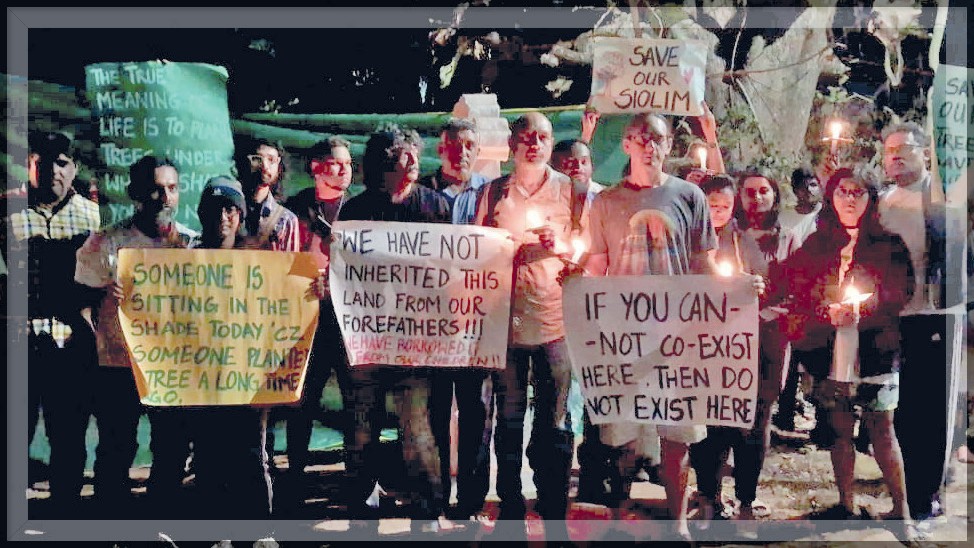 Rio Luxury Homes CEO Promises No More Tree Cutting After Oxel Protest