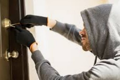 Rise in Theft Cases in South Goa Raises Concerns Over Declining Detection Rate in 2024