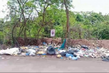 Rise in garbage dumping at Arambol roadside sparks concerns