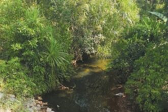 Rise in leopard encounters alarms Canacona villagers