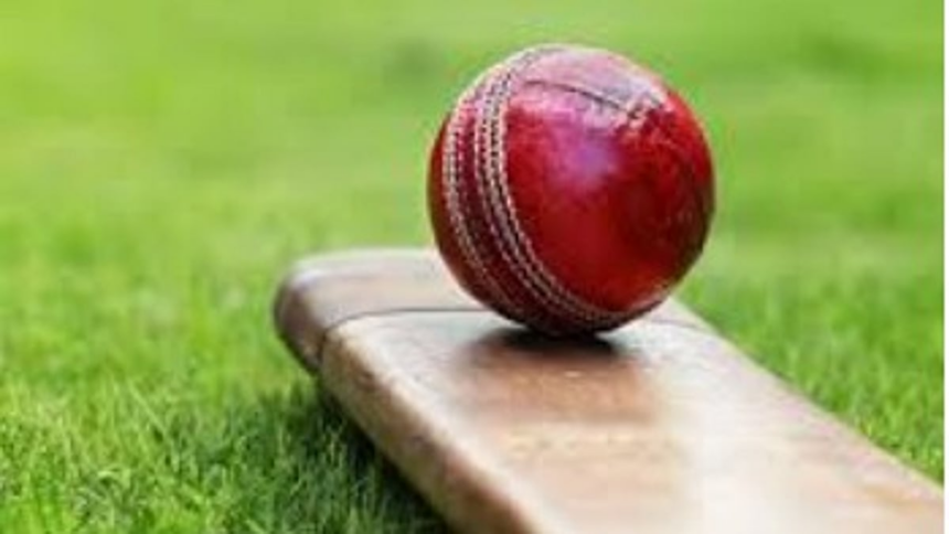 Risers Defeat Lawyer Challengers by 5 Wickets to Set Up Rematch with United Brothers in ACL T20 Final 1 Risers Defeat Lawyer Challengers by 5 Wickets to Set Up Rematch with United Brothers in ACL T20 Final