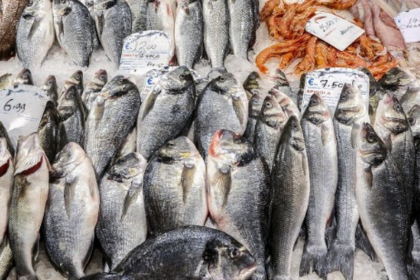 Rising Fish Prices Spark Assembly Row in Goa; CM Promises Subsidised Rates, New Fisheries Policy