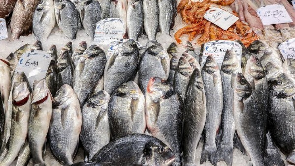Rising Fish Prices Spark Assembly Row in Goa; CM Promises Subsidised Rates, New Fisheries Policy