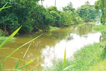 Rising pollution derails attempts to clean River Sal