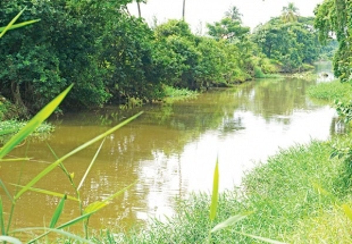Rising pollution derails attempts to clean River Sal