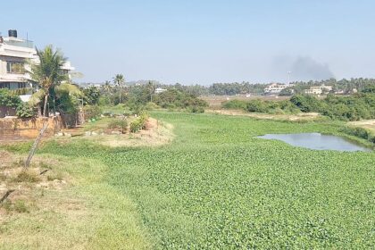 River Sal: From lifeline to lifeless – a grave warning for Goa’s future