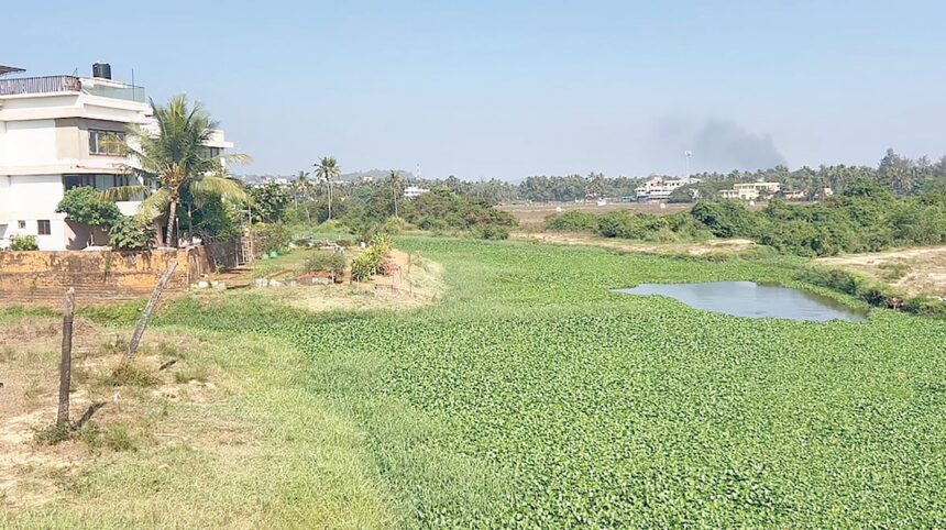 River Sal: From lifeline to lifeless – a grave warning for Goa’s future 1 River Sal: From lifeline to lifeless – a grave warning for Goa’s future