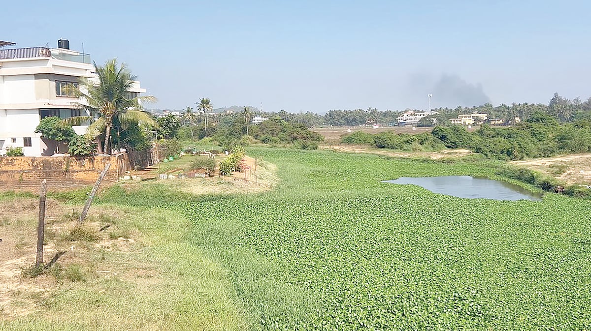 River Sal: From lifeline to lifeless – a grave warning for Goa’s future