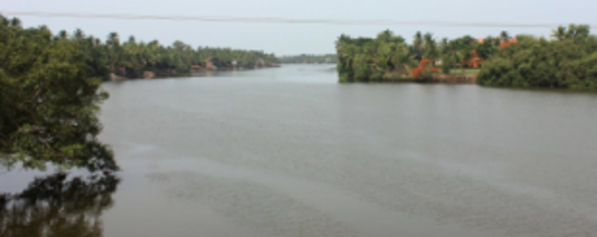 River Sal and every other river need a new lease of life