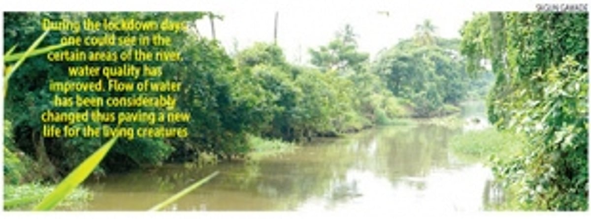 River Sal gets new lease of life in lockdown