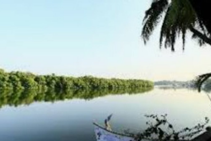 River Sal in Salcete Suffers from Severe Pollution, Environmentalists Raise Alarm