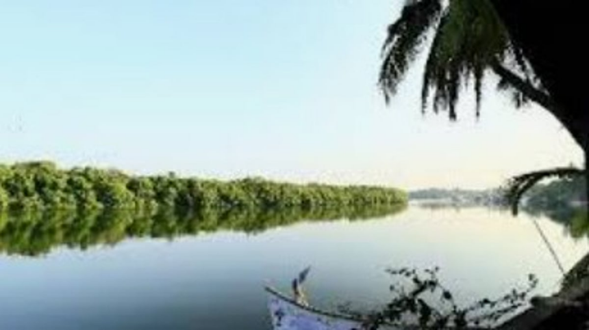 River Sal in Salcete Suffers from Severe Pollution, Environmentalists Raise Alarm 1 River Sal in Salcete Suffers from Severe Pollution, Environmentalists Raise Alarm