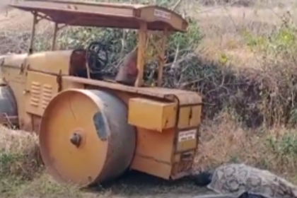Road roller driver dies in mishap