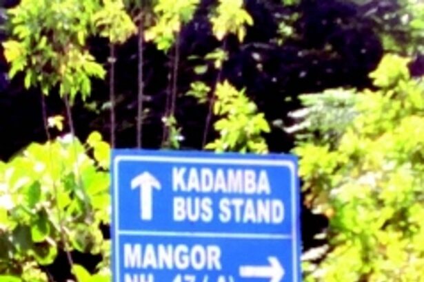 Road-signs need to give correct directions