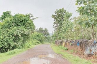 Road to Chapolim  dam washed away