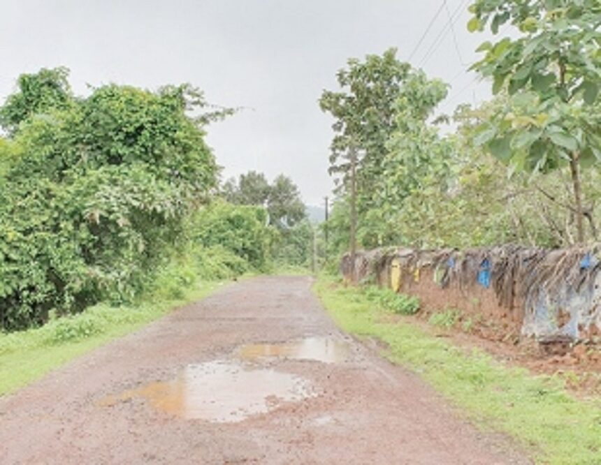 Road to Chapolim dam washed away