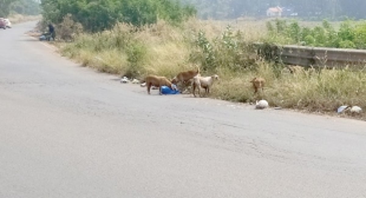 Roadside garbage dumping along  Nuvem-Arlem bypass