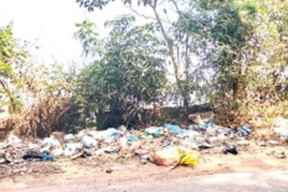 Roadside garbage goes unattended in Pernem Taluka as local authorities only collect dry waste