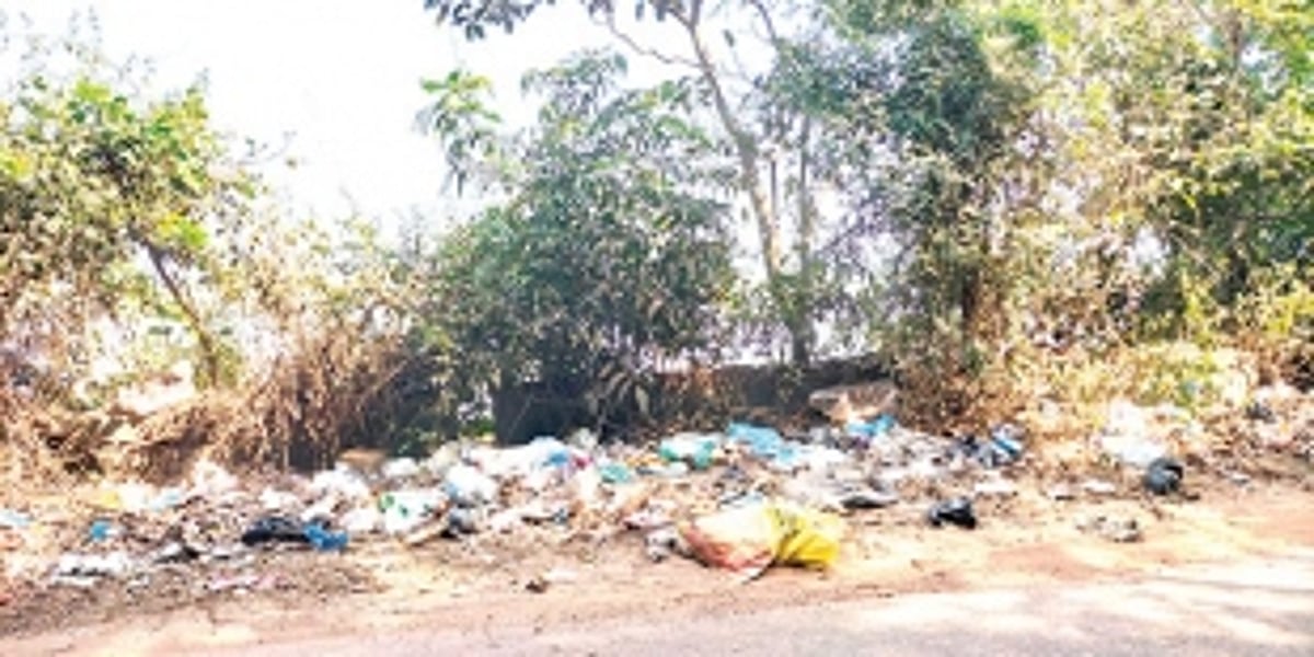 Roadside garbage goes unattended in Pernem Taluka as local authorities only collect dry waste