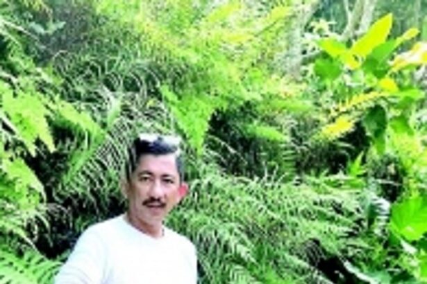 Rooted in passion: Daniel D’Souza’s green fingers bring Goa’s gardens to life