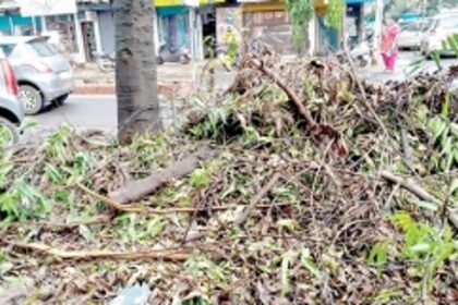 Rotting leaves, twigs dot Swatantra Path in Vasco