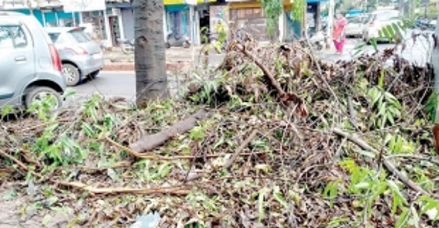 Rotting leaves, twigs dot Swatantra Path in Vasco