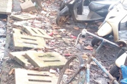 Rotting rubbish in the parking area