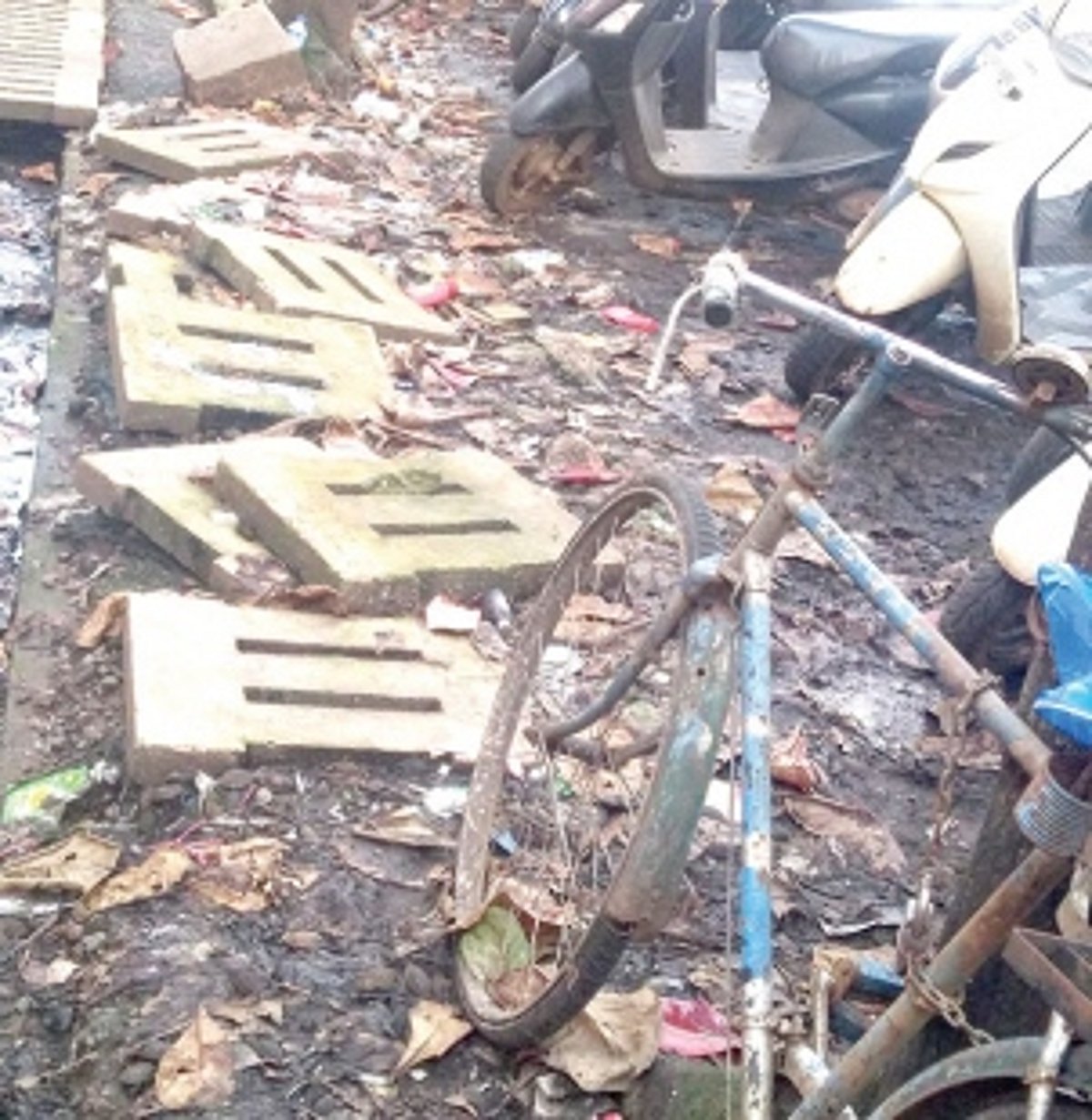 Rotting rubbish in the parking area