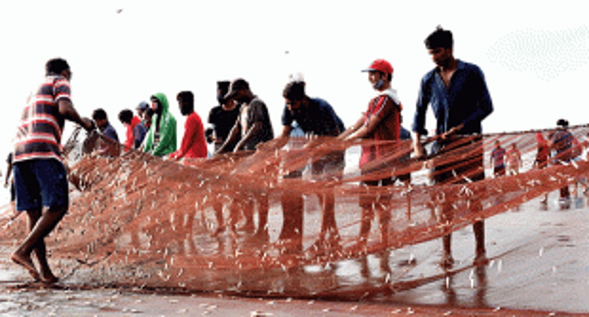 Rough tides rock the boats of fishing community