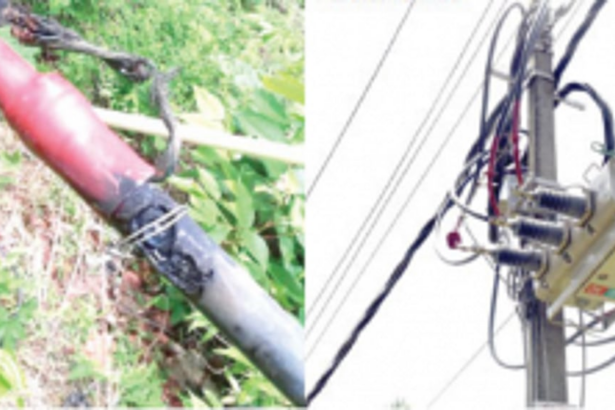 Rs 100 cr loss as Power Dept’s ambitious Aerial Bunched Cable technology fails