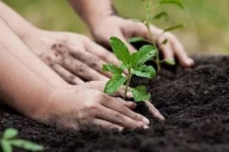 Rs 116 cr to be spent on clearing backlog compensatory afforestation