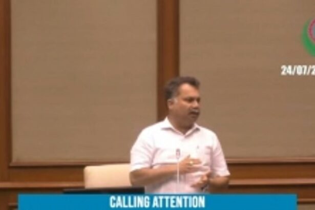 Ruling MLA Nilesh Cabral hits out at own Power Minister Sudin Dhavlikar twice