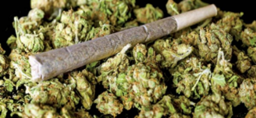 Russian held  with ganja