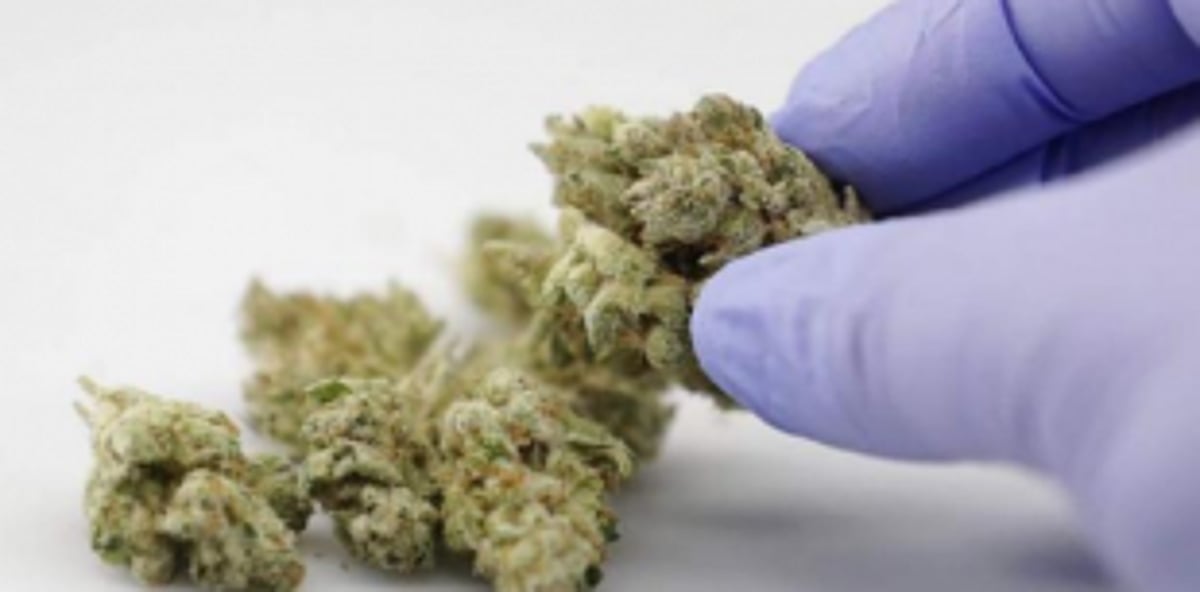 Russian national arrested with drugs at Mandrem