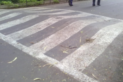 S Goa MP directs PWD to  set up speed breaker signs