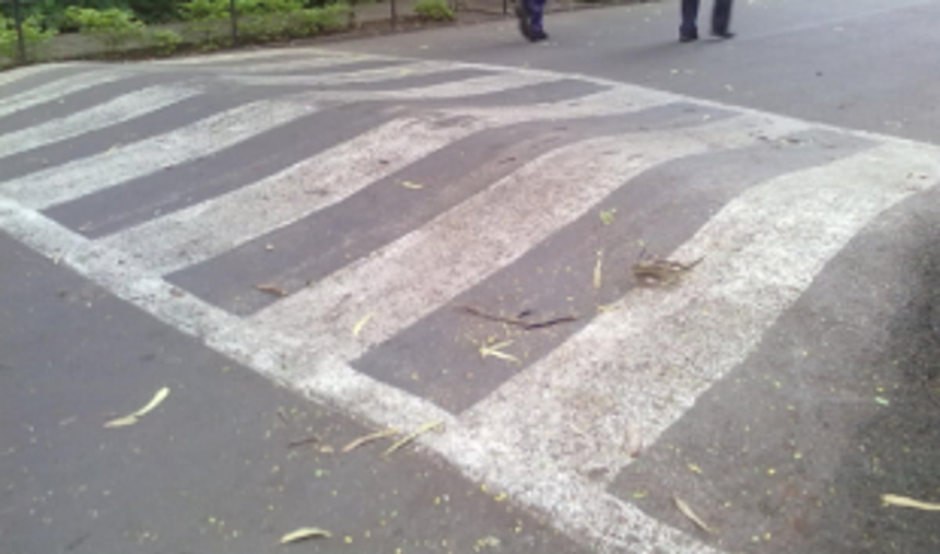 S Goa MP directs PWD to  set up speed breaker signs