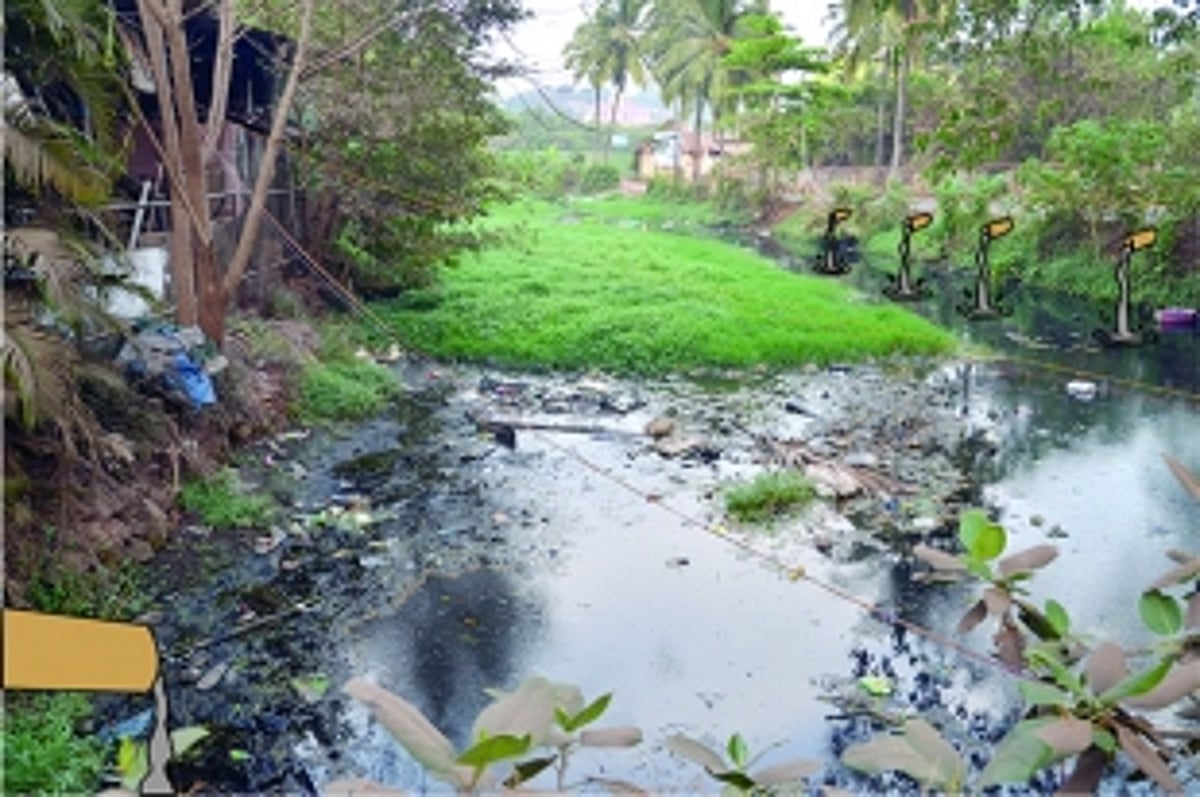 SAME CREEK, SAME DIRT, SAME SEWAGE, DIFFERENT ELECTION