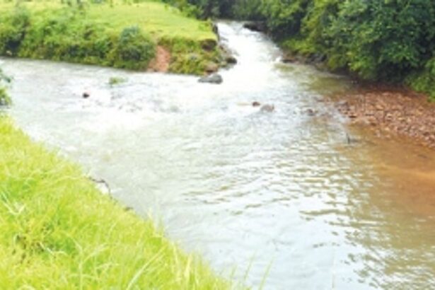 SC orders joint inspection of Kalsa diversion project