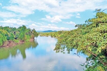 SC saw no reason to entertain Goa IA on Mhadei
