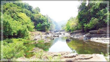 SC to Hear Mhadei Water Dispute on January 29 or 30