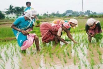 SCHEME SHOCKER: 3,000 Goan farmers asked to refund cash  received under Krishi Kisan Card