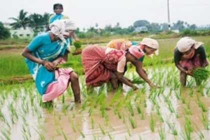 SCHEME SHOCKER: 3,000 Goan farmers asked to refund cash  received under Krishi Kisan Card