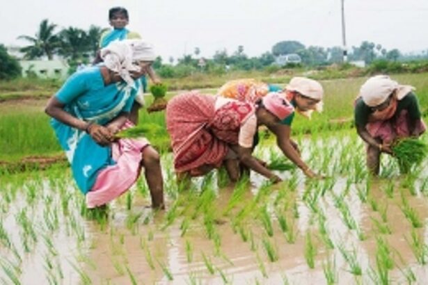 SCHEME SHOCKER: 3,000 Goan farmers asked to refund cash  received under Krishi Kisan Card