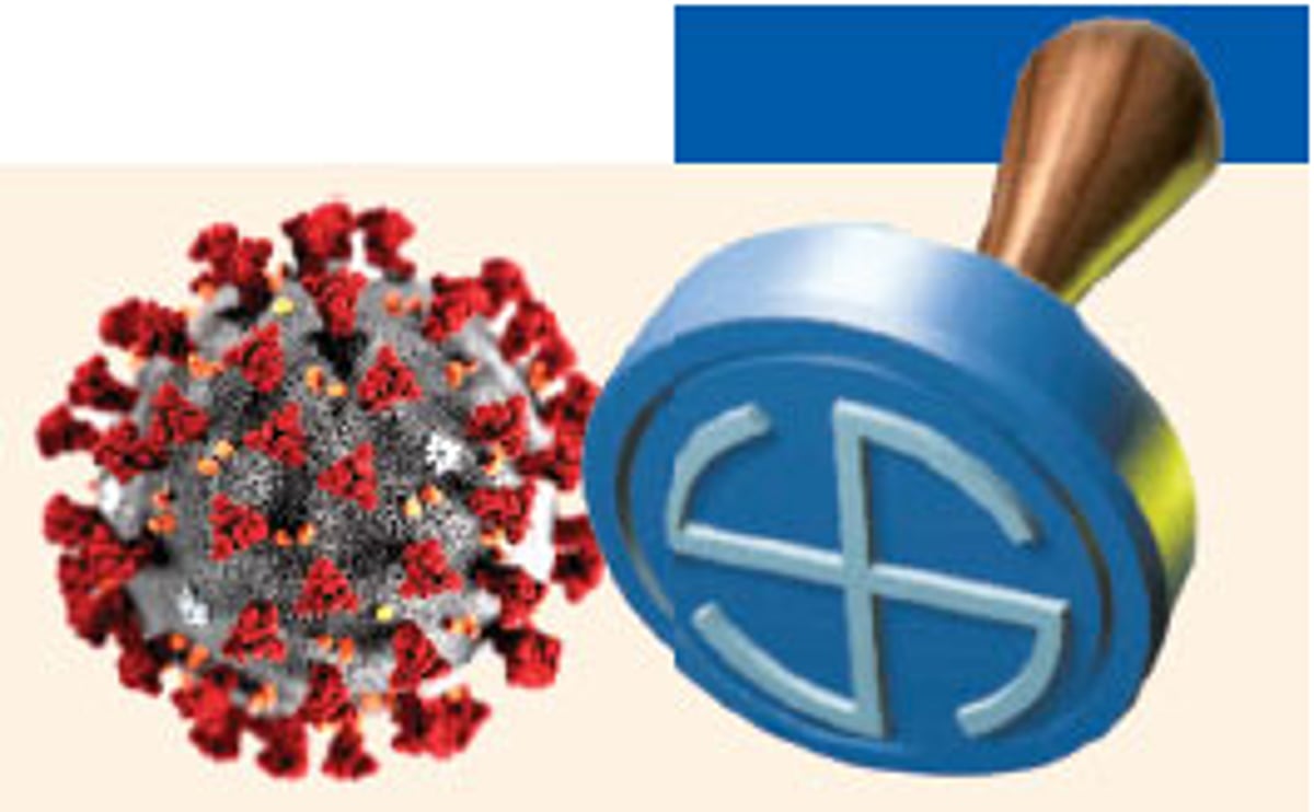 SEC announces ZP polls on Dec 12, counting on 14