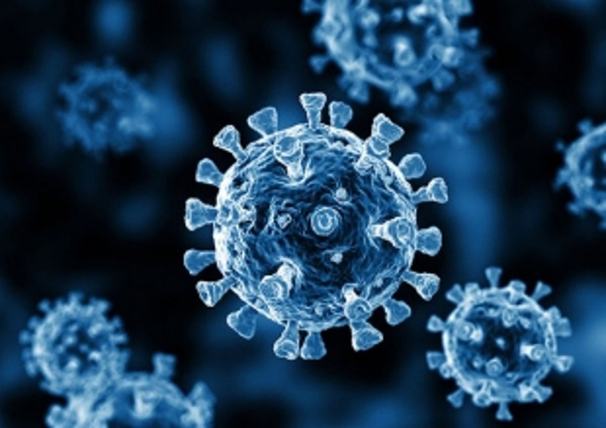 SEC for strict  enforcement and  preventive protocols