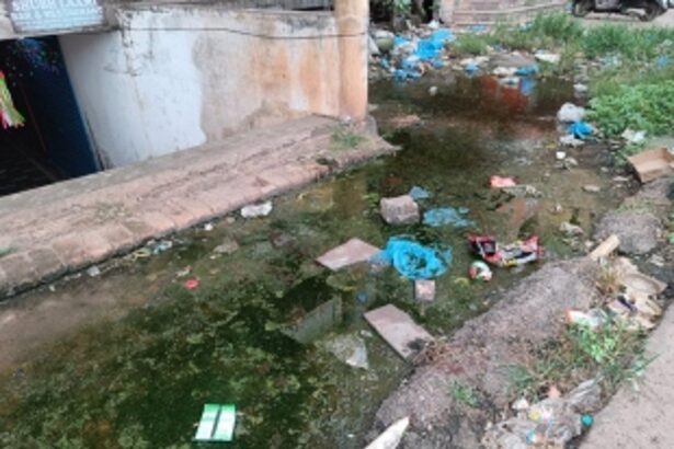 SGPDA Building's Unsanitary Conditions Spark Public Outcry and Health Concerns