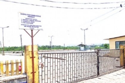 SGPDA, health officials inspect wholesale fish market, shocked at unsanitary conditions