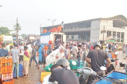 SGPDA hit by revenue loss as sopo collection tender for wholesale fish market falls through