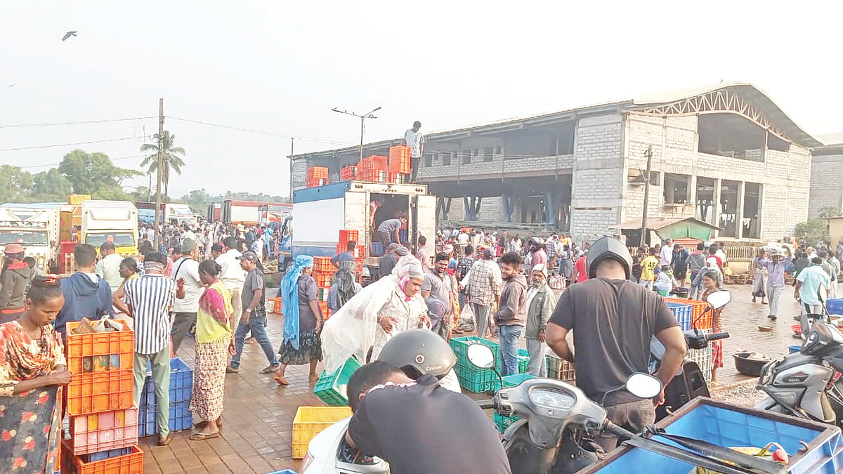 SGPDA hit by revenue loss as sopo collection tender for wholesale fish market falls through