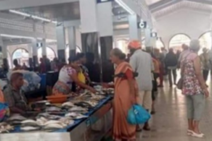 SGPDA slaps notice on wholesale fish  association for several violations